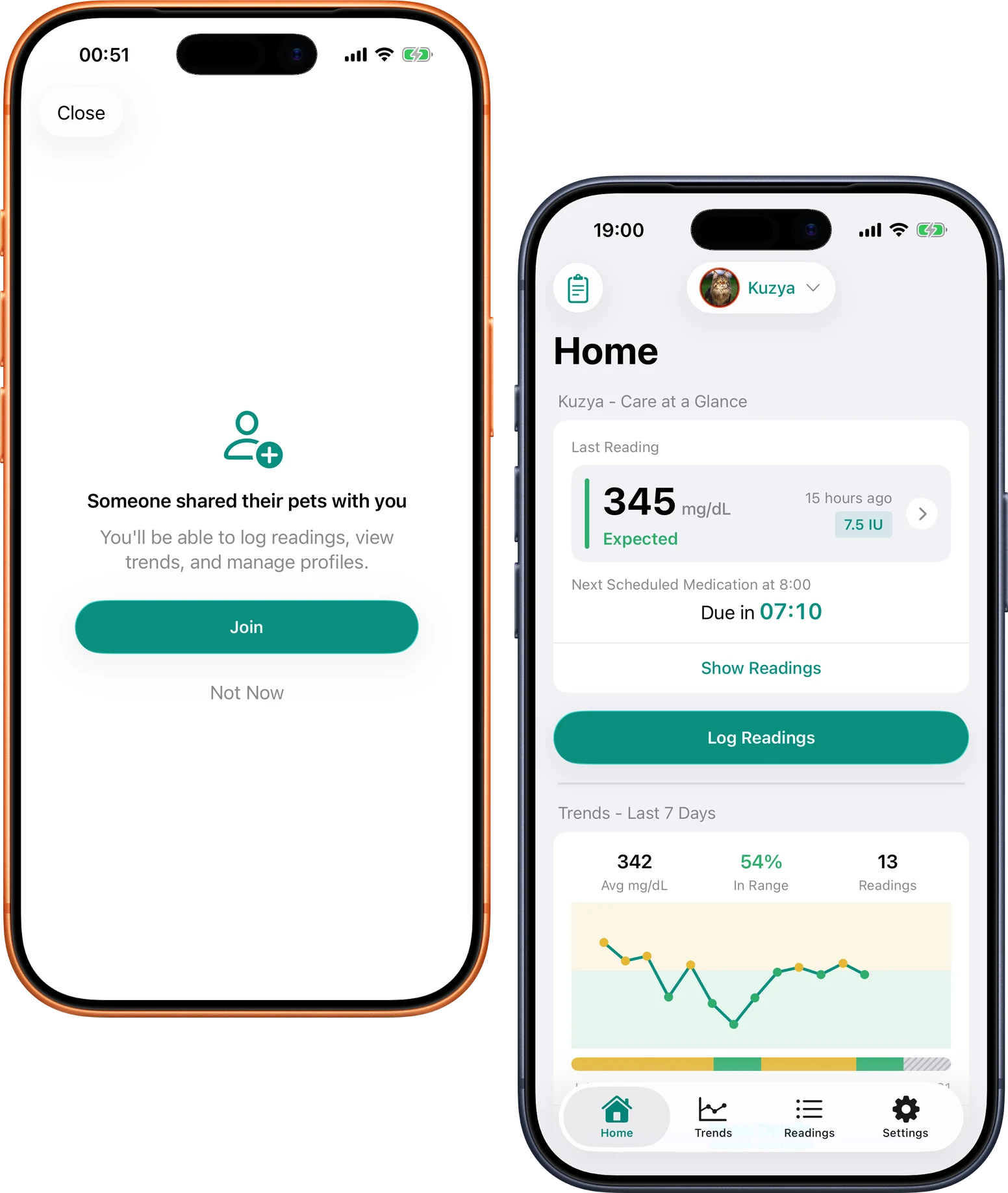 Anastasia reviews an invitation to share care for a diabetic cat while Philipp sees the cat's Home overview